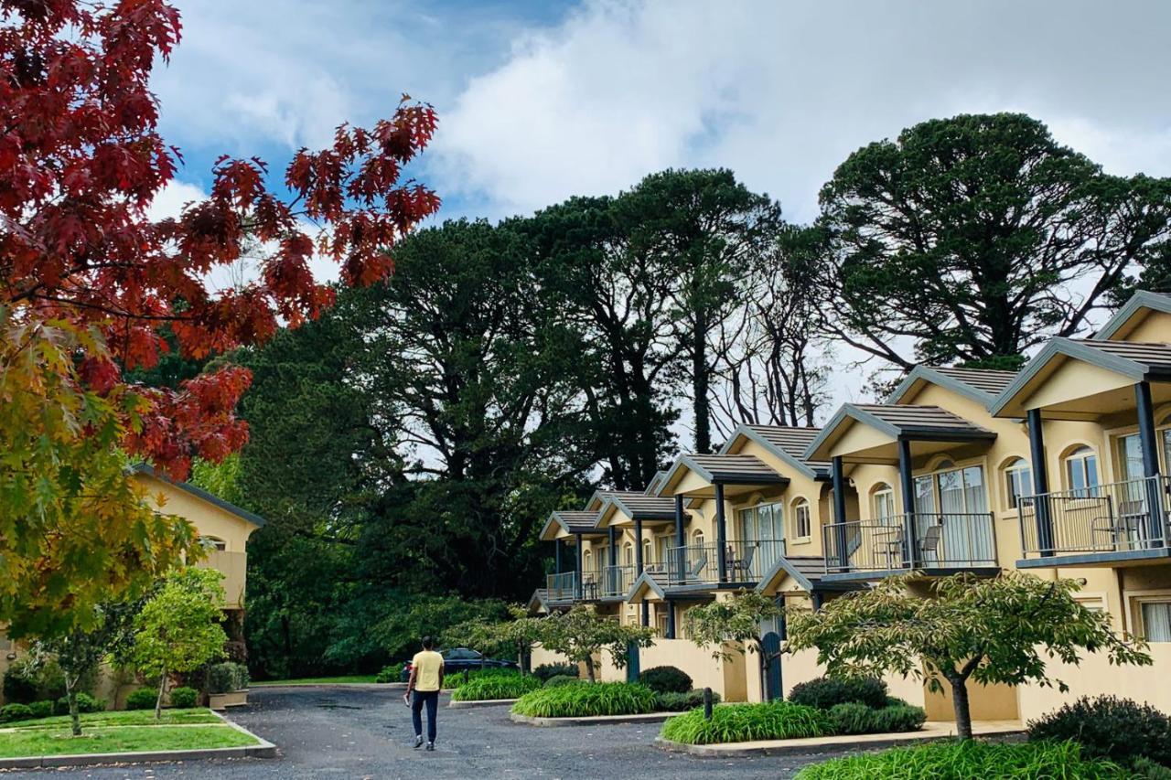 Falls Mountain Retreat Blue Mountains ウェントワース・フォールズ エクステリア 写真